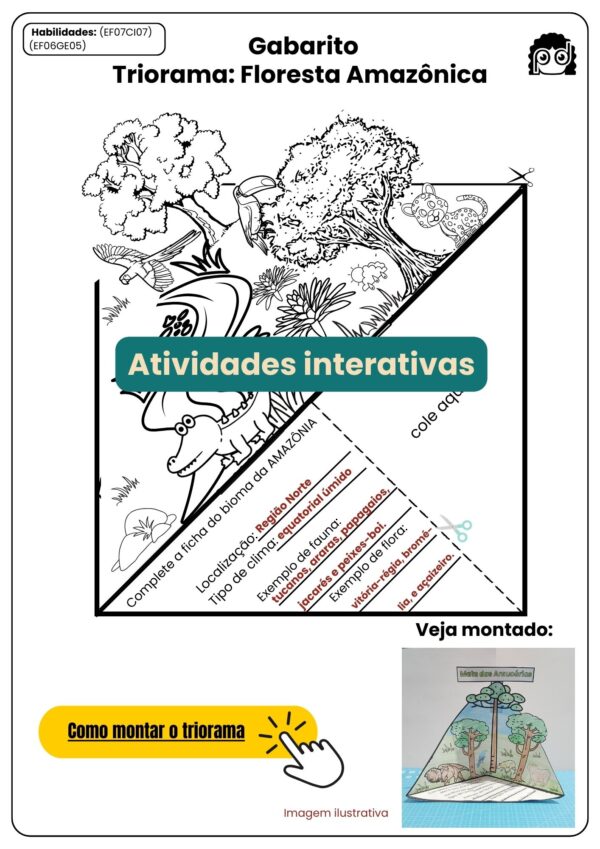 Triorama Floresta Amazônica (1)